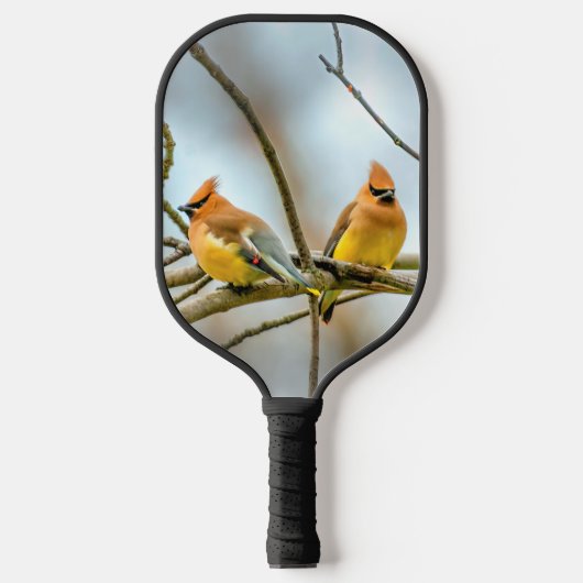 Cedar Waxwing - Original Foto Pickleball Schläger (Vorderseite)