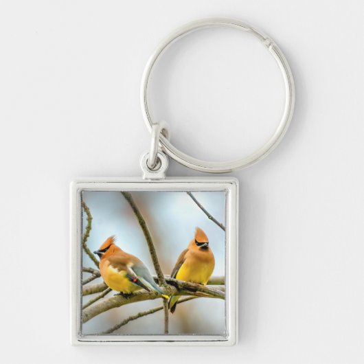 Cedar Waxwing - Original Foto Schlüsselanhänger (Vorne)