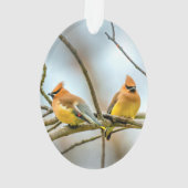 Cedar Waxwing - Originalfotografie Ornament (Rückseite)