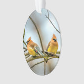 Cedar Waxwing - Originalfotografie Ornament (Vorderseite)
