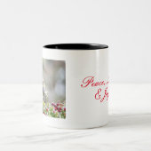 Cedar Waxwing, Peace, Liebe & Joffee Tasse (Mittel)