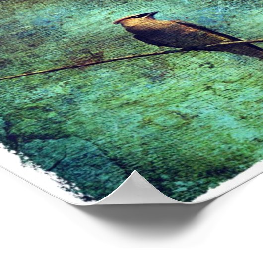 Cedar Waxwing Poster (Ecke)