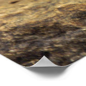 Cedar Waxwing Poster (Ecke)