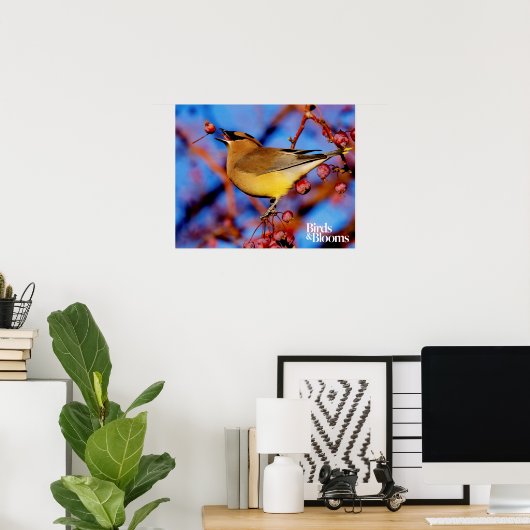 Cedar Waxwing Poster (Heimbüro)