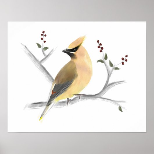 Cedar Waxwing Poster Print (Vorne)