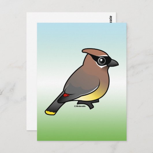 Cedar Waxwing Postkarte (Vorne/Hinten)