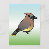 Cedar Waxwing Postkarte (Vorderseite)