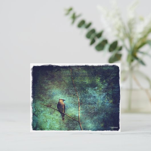 Cedar Waxwing Postkarte (Stehend Vorderseite)