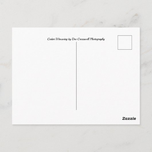 Cedar Waxwing Postkarte (Rückseite)