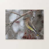 Cedar Waxwing Puzzle (Horizontal)