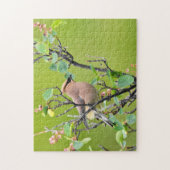 Cedar Waxwing Puzzle (Vertikal)