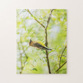 Cedar Waxwing Puzzle (Vertikal)
