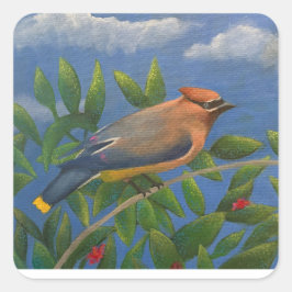 Cedar Waxwing Quadratischer Aufkleber