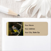 Cedar Waxwing Songbird Original Wild Bird Foto (Insitu)