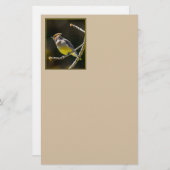 Cedar Waxwing Songbird Original Wild Bird Foto Briefpapier (Vorne/Hinten)