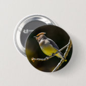 Cedar Waxwing Songbird Original Wild Bird Foto Button (Vorne & Hinten)
