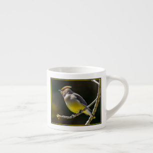 Cedar Waxwing Songbird Original Wild Bird Foto Espressotasse