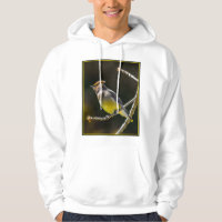 Cedar Waxwing Songbird Original Wild Bird Foto