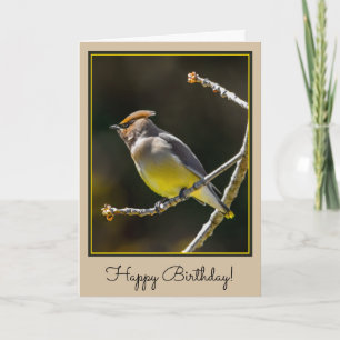 Cedar Waxwing Songbird Original Wild Bird Foto Karte