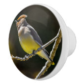 Cedar Waxwing Songbird Original Wild Bird Foto Keramikknauf (Rechts)