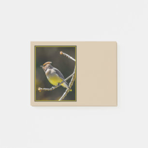 Cedar Waxwing Songbird Original Wild Bird Foto Post-it Klebezettel