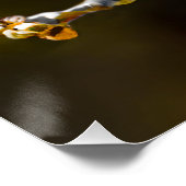 Cedar Waxwing Songbird Original Wild Bird Foto Poster (Ecke)