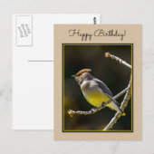 Cedar Waxwing Songbird Original Wild Bird Foto Postkarte (Vorne/Hinten)