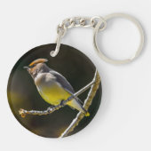 Cedar Waxwing Songbird Original Wild Bird Foto Schlüsselanhänger (Rückseite)