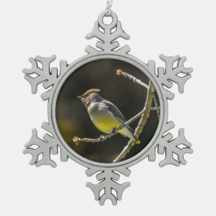 Cedar Waxwing Songbird Original Wild Bird Foto Schneeflocken Zinn-Ornament
