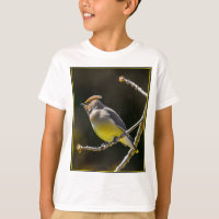 Cedar Waxwing Songbird Original Wild Bird Foto