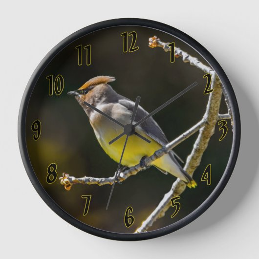 Cedar Waxwing Songbird Original Wild Bird Foto Uhr (Vorderseite)