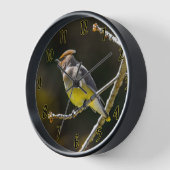 Cedar Waxwing Songbird Original Wild Bird Foto Uhr (Winkel)