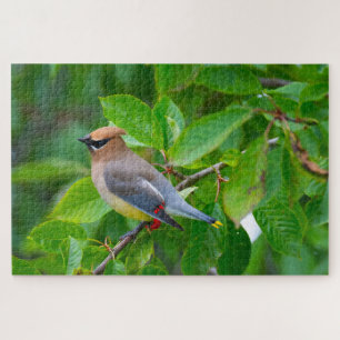 Cedar Waxwing Super Challenging Bird Lover Puzzle