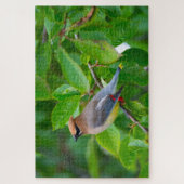 Cedar Waxwing Super Challenging Bird Lover Puzzle (Vertikal)