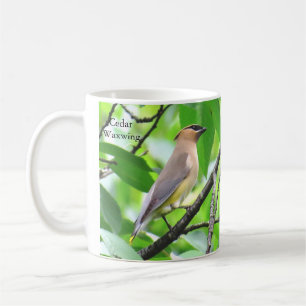 Cedar Waxwing Tasse von BirdingCollectibles