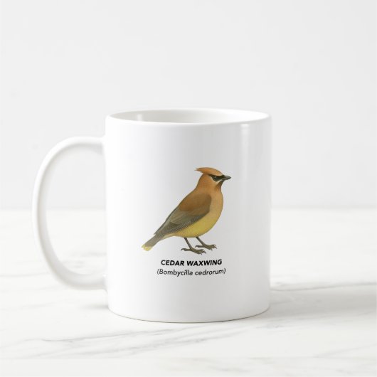 Cedar Waxwing - Vögel in Kalifornien Kaffeetasse (Links)