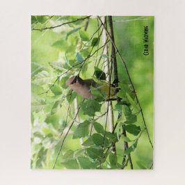 Cedar Waxwing, Vogelliebhaber Puzzle