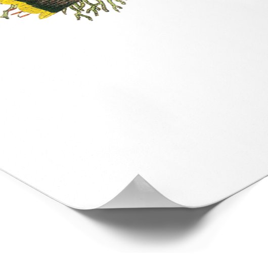 Cedar Waxwing von Audubon Poster (Ecke)