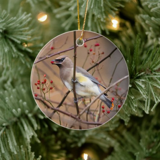 Cedar Waxwing | Weihnachtsschmuck (Baum)