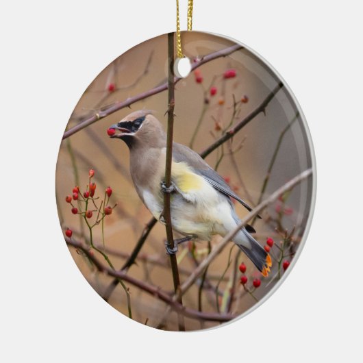 Cedar Waxwing | Weihnachtsschmuck (Links)