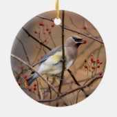 Cedar Waxwing | Weihnachtsschmuck (Hinten)