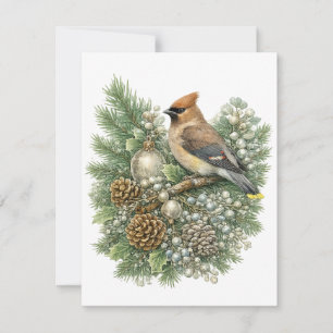 Cedar Waxwing Winter Songbirds Kollektion  Mitteilungskarte