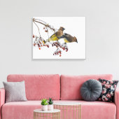 Cedar Waxwings Leinwanddruck (Insitu (Wohnzimmer))