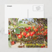 Cedarburg Postkarte (Vorne/Hinten)