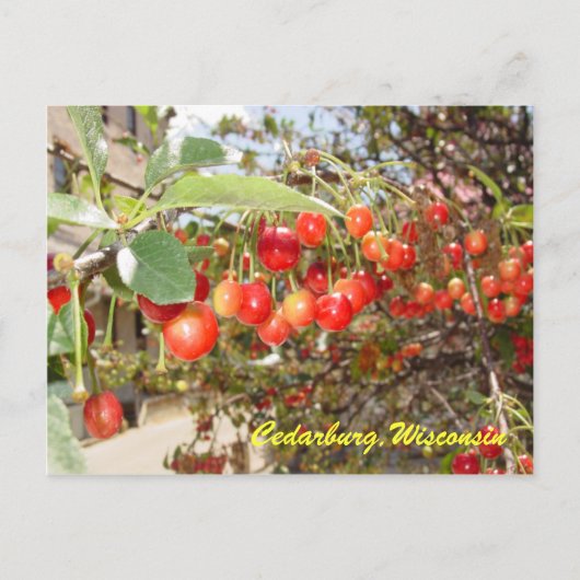 Cedarburg Postkarte (Vorderseite)