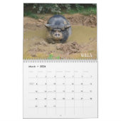 Cedarhill Tierschongebiet-Kalender 2019 Kalender (Mär 2026)