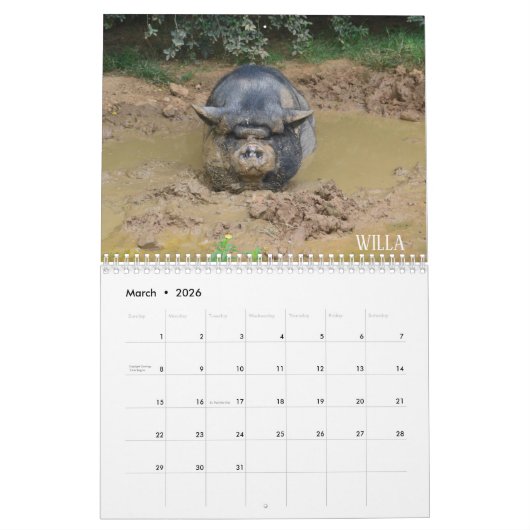 Cedarhill Tierschongebiet-Kalender 2019 Kalender (Mär 2026)