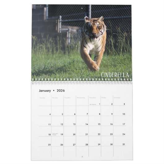 Cedarhill Tierschongebiet-Kalender 2019 Kalender (Jan 2026)