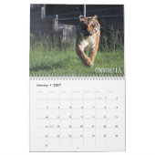 Cedarhill Tierschongebiet-Kalender 2019 Kalender (Jan 2027)