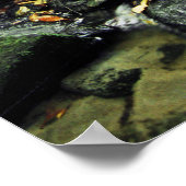 CedarRockFalls_100_026 Poster (Ecke)